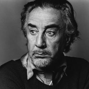 Romain gary emile ajar centenaire 6c9b5543 b1cb 4539 b18f b3796e2f3dab